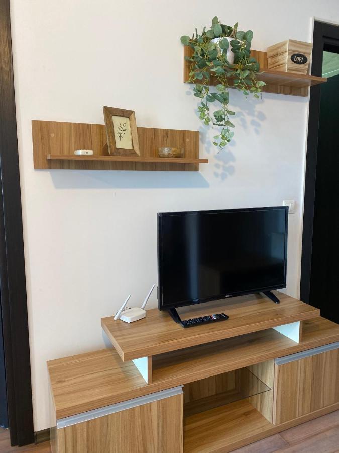 Apartment Crazy Summerland Mamaia